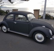 Volkwagen Beetle